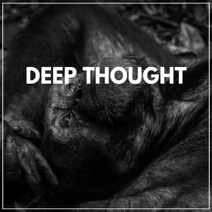 Deep Thought - Japanese Zen Shakuhachi