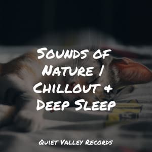 Sounds of Nature | Chillout & Deep Sleep - Hipnose Natureza Sons Coleção