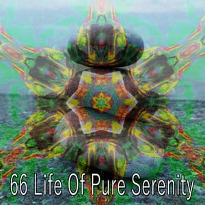 66 Life Of Pure Serenity - Yoga Sounds