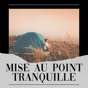 Mise au Point Tranquille - Musique Relaxante