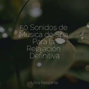 50 Sonidos de Música de Spa Para la Relajación Definitiva - Jazz Para Crianças