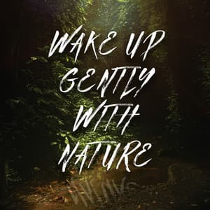 Wake Up Gently with Environment - Cynthia Gard