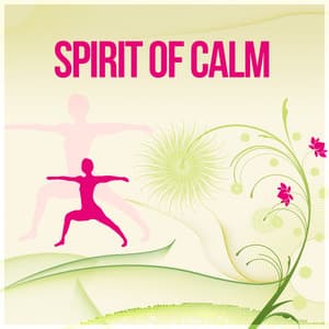 Spirit of Calm – New Age Music for Yoga, Meditation, Mantra, Calmness Day at Home, Sounds of Nature to Reduce Stress and Relax - Sensual New Age Music Sanctuary