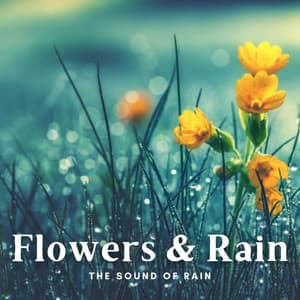 The Sound of Rain: Flowers & Rain - Rain Hive
