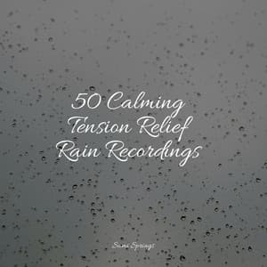 50 Calming Tension Relief Rain Recordings - Meditação Clube