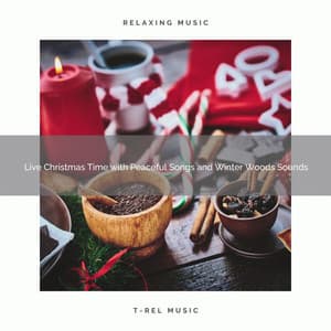 Live Christmas Time with Peaceful Songs and Winter Woods Sounds - The Forest Escape