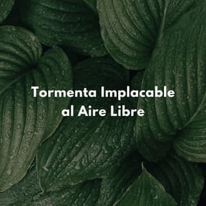 Tormenta Implacable Al Aire Libre - Tormentas eléctricas