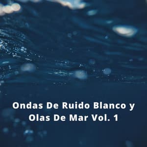 Ondas De Ruido Blanco y Olas De Mar Vol. 1 - El Ruido Blanco