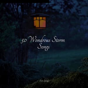 50 Wondrous Storm Songs - Nature & Sounds Backgrounds