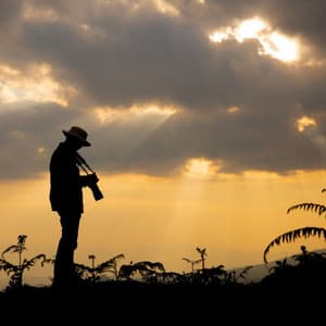 Cinnamon Sunset - Carlos Flamenco