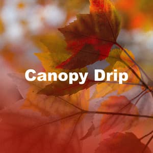 Canopy Drip - Wide Noise HD