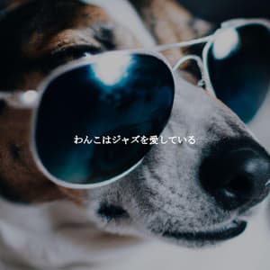 わんこはジャズを愛している - Sunday Brunch Music