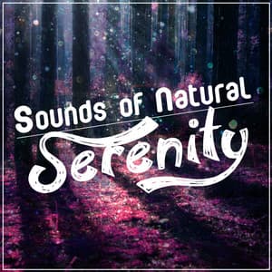 Sounds of Natural Serenity - Ambient Nature Sounds