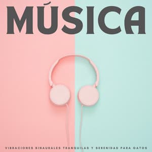 Música: Vibraciones Binaurales Tranquilas Y Serenidad Para Gatos - Bob binaural