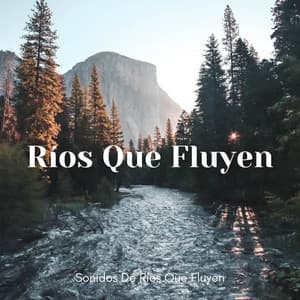 Sonidos De Ríos Que Fluyen - Los durmientes de agua