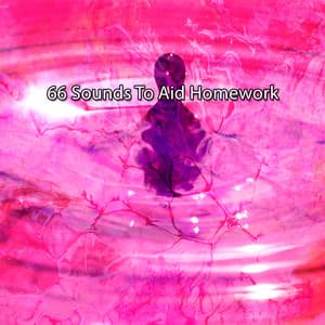 66 Sounds To Aid Homework - Musique Zen Garden