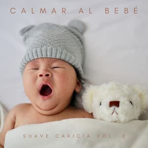 Calmar Al Bebé: Suave Caricia Vol. 2 - Música Para Niños