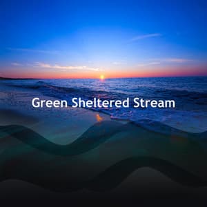Green Sheltered Stream - Sounds of the Jungle