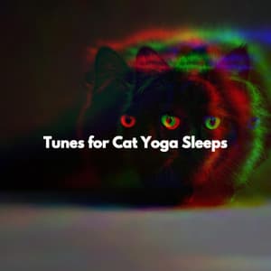 Tunes for Cat Yoga Sleeps - Relaxing Instrumental Jazz Cafe