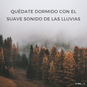 Quédate Dormido Con El Suave Sonido De Las Lluvias Vol. 1 - Lluvia Suena Dormir