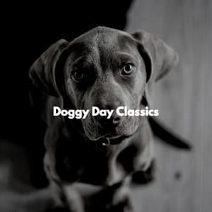 Doggy Day Classics - Jazz Cafe Bar Ambiance