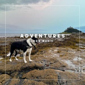 Adventures Dog Music - Soothing Dog Sounds