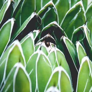 Relaxing Sounds | Relaxing Session - Fresh Water Sounds For Inner Peace