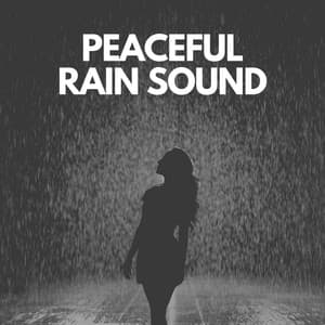 Peaceful Rain Sound - Nature and Rain
