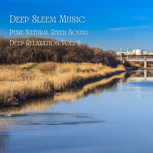 Deep Sleep Music: Water Drip of Magical Waterfall Vol. 2 - Sleepy Dogs