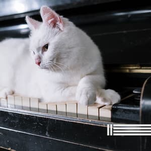 Quiet Piano Music - Quiet Piano Music