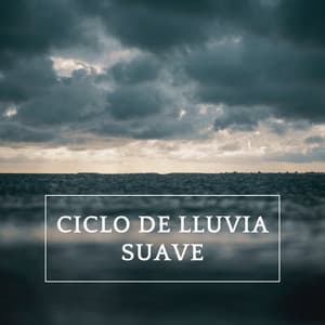 Ciclo De Lluvia Suave - Sonidos de lluvia ACE