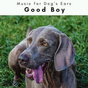 4 Paws: Good Boy - Music for Dog's Ears