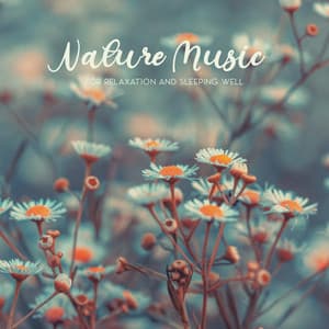 Nature Music for Relaxation and Sleeping Well. Nature Lullabies, Soothing Evening Sounds, Natural Tension Relief - Natural Soothing Melodies
