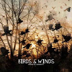 Birds & Winds - Winds of Serenity