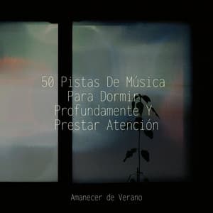 50 Pistas De Música Para Dormir Profundamente Y Prestar Atención - Saludo al Sol Sonido Relajante