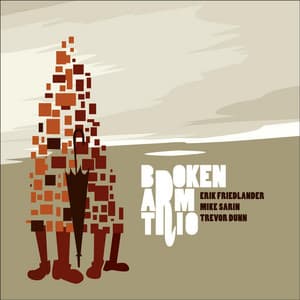 Broken Arm - Erik Friedlander