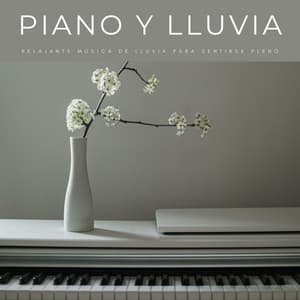 Piano Y Lluvia: Relajante Música De Lluvia Para Sentirse Pleno - Thiago Mascotas