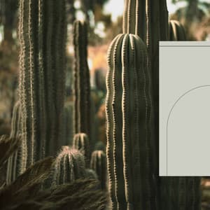 Music for Mental Exercises - Lounge Smooth Jazz Deluxe