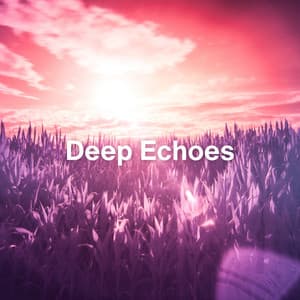 Deep Echoes - Relaxation Sleep Meditation