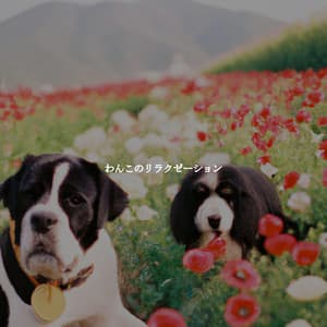 わんこのリラクゼーション - Hotel Lounge Deluxe