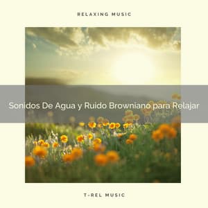 Sonidos De Agua y Ruido Browniano para Relajar - Ruido Para Bebé