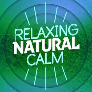 Relaxing Natural Calm - Relaxing Nature Ambience