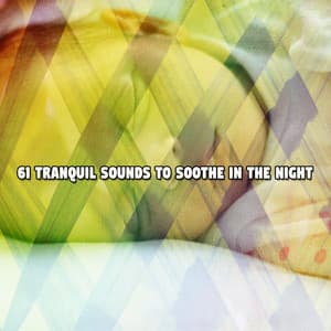 61 Tranquil Sounds to Soothe In The Night - Relaxing Music For Sleeping