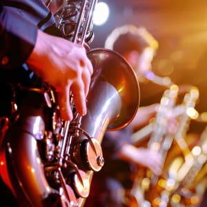 Tranquil Tunes: Jazz for Relaxation - The New York Jazz Trio