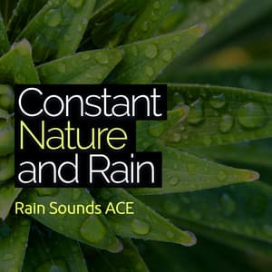 Constant Nature and Rain - Rain Sounds ACE