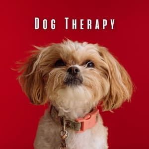 Dog Therapy: Chill Music for Stress Relief - Lotus Flower Therapy