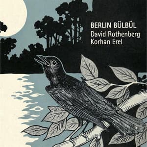Berlin Bülbül - David Rothenberg