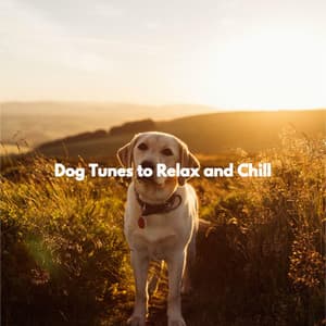Dog Tunes to Relax and Chill - Música de Trabajo Sociedad