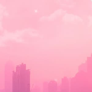 Pink City - Bertiee