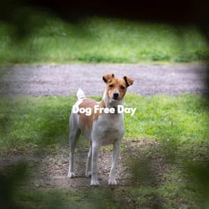 Dog Free Day - Relaxing Dog Music Classics